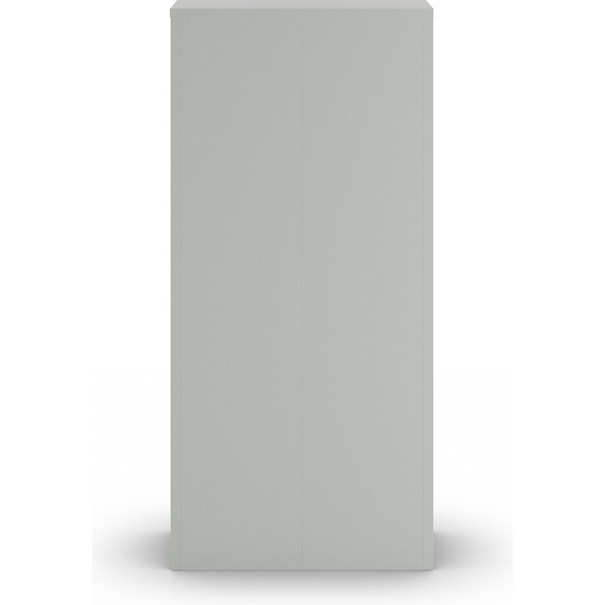 Univerzalna omara s krilnimi vrati in 4 policami – eurokraft basic (Slika izdelka 5)-4