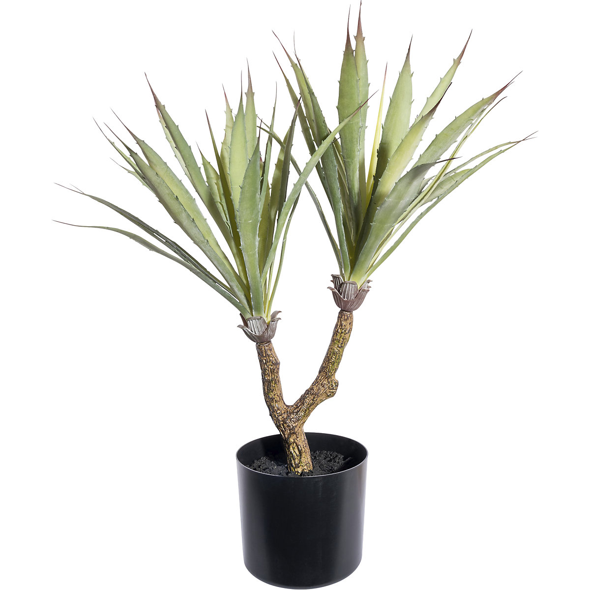 Agave, kunstmatige plant