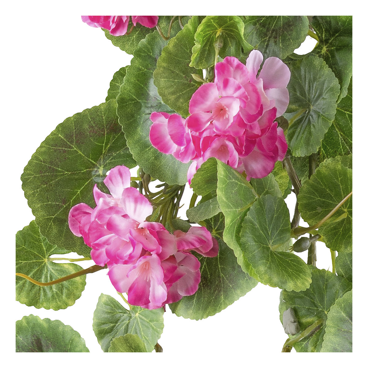 Kunstmatige hanggeranium (Productafbeelding 2)-1
