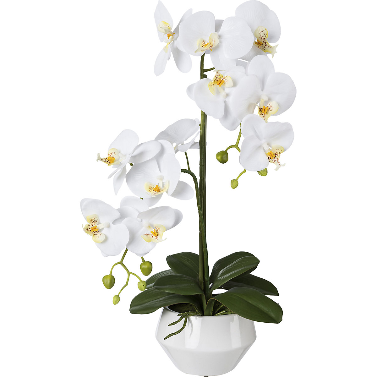Kunstmatige orchidee Phalaenopsis, Real Touch