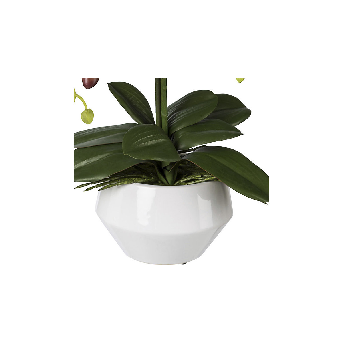 Kunstmatige orchidee Phalaenopsis, Real Touch (Productafbeelding 2)-1