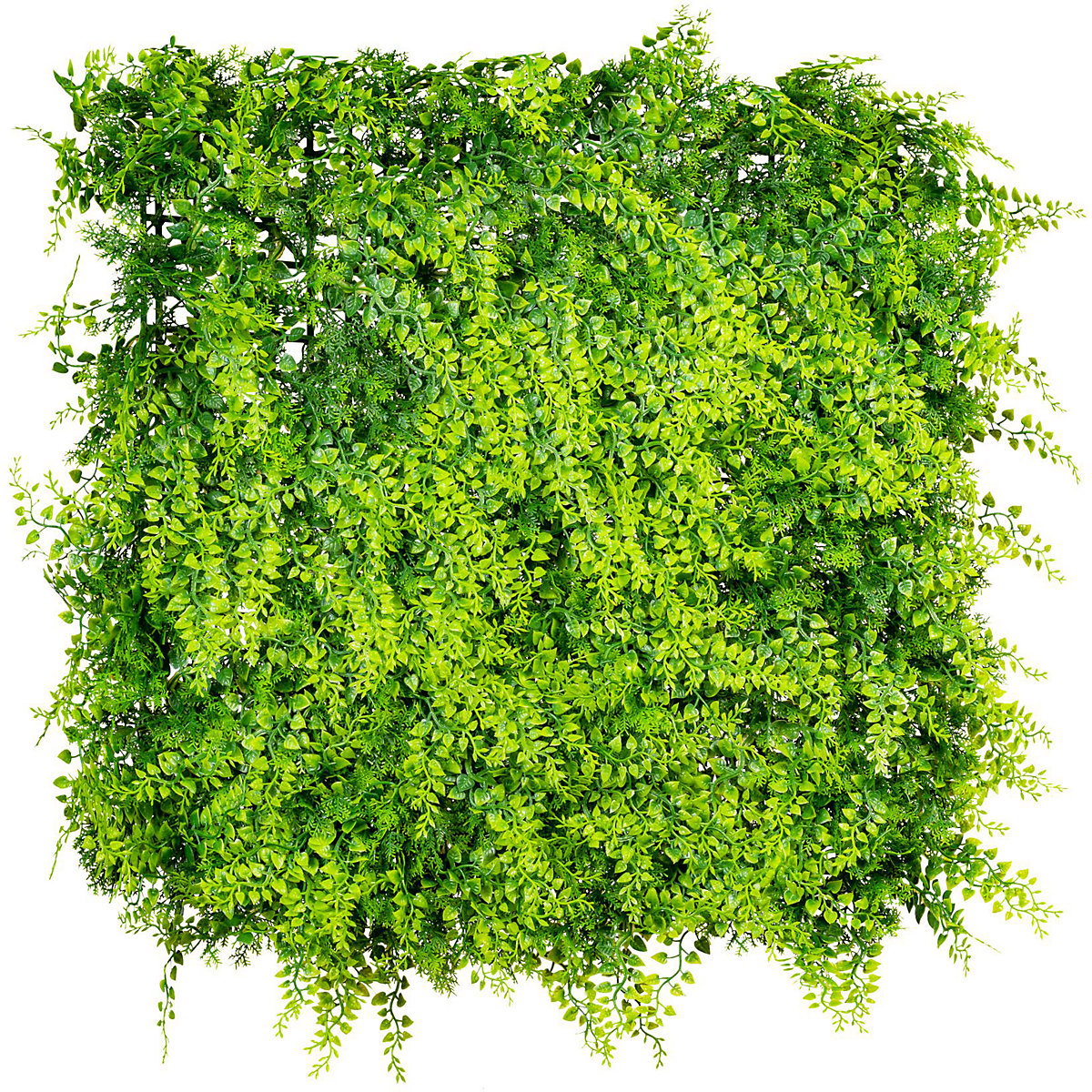 Varenmat (Productafbeelding 2)-1