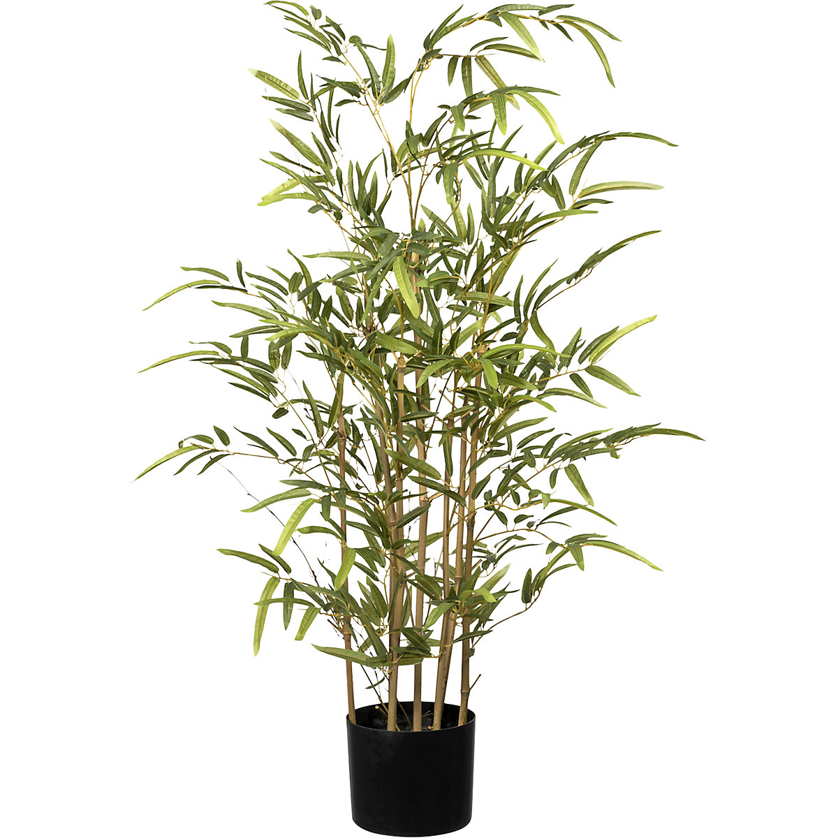 Bamboe, UV-bestendig (Productafbeelding 2)-1