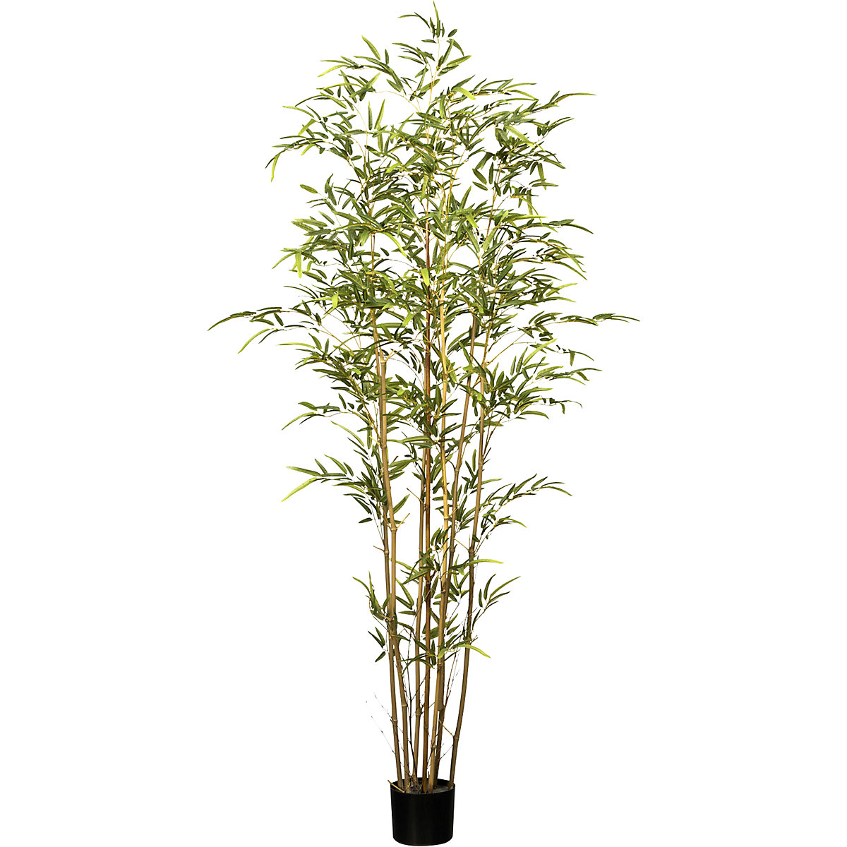 Bamboe, UV-bestendig