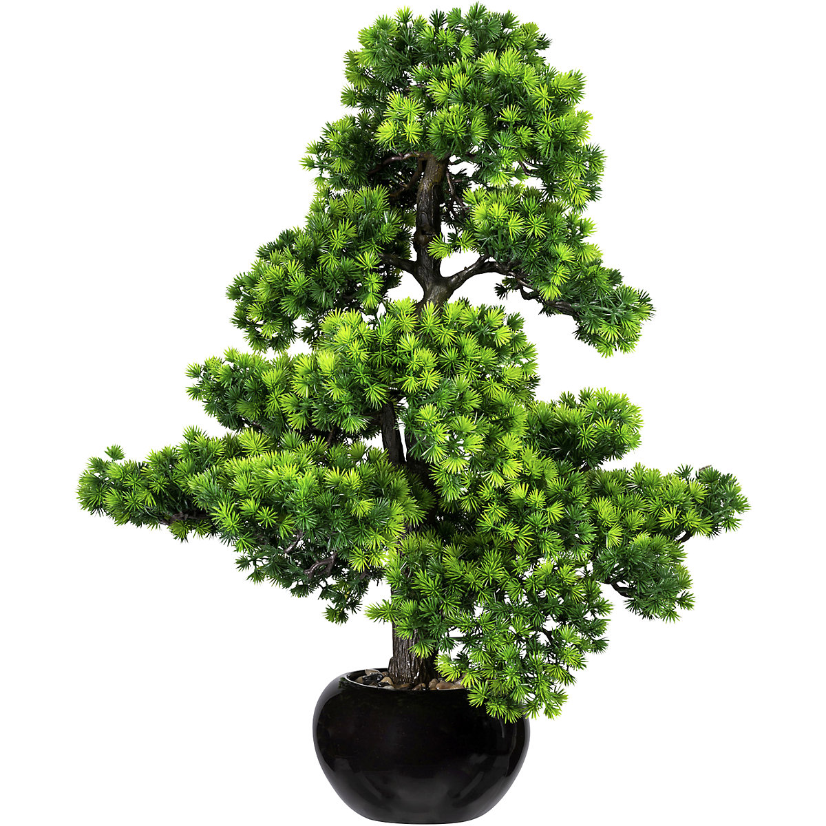 Bonsai lariks, met grind in een keramieken pot, zwart kaiserkraft