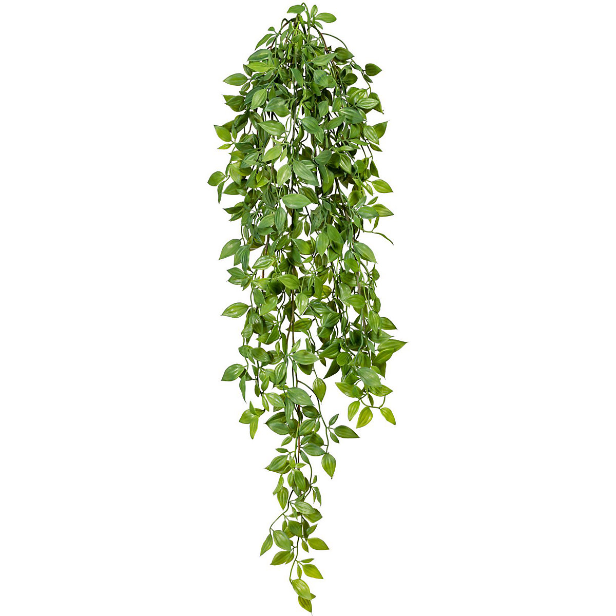 Epipremnum blad minihangplant (Productafbeelding 2)-1