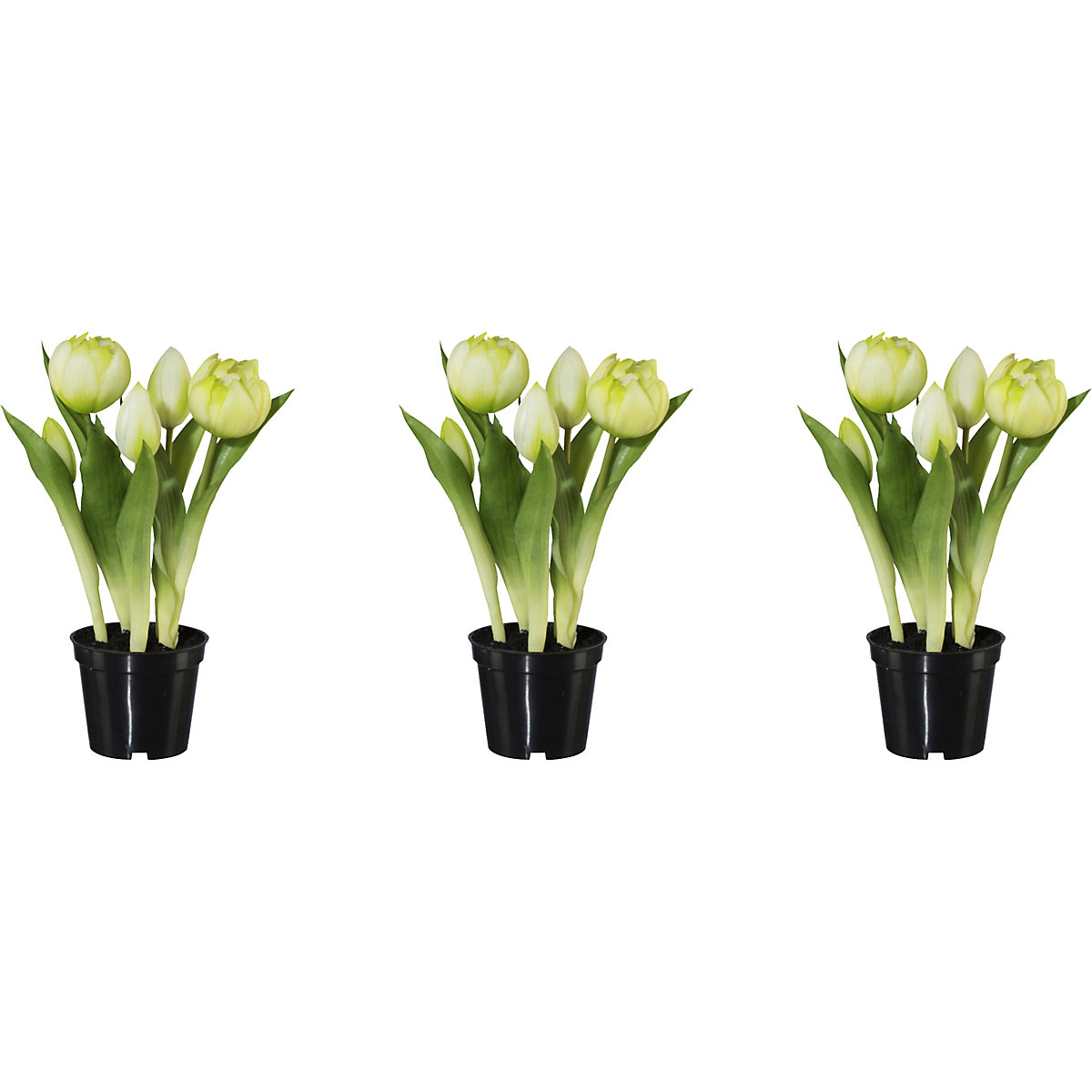 Gevulde tulpen, real touch, in pot