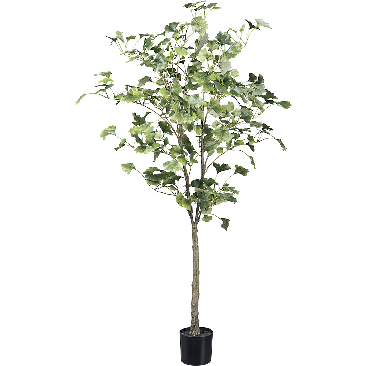 Kunstmatige plant gingkoboom