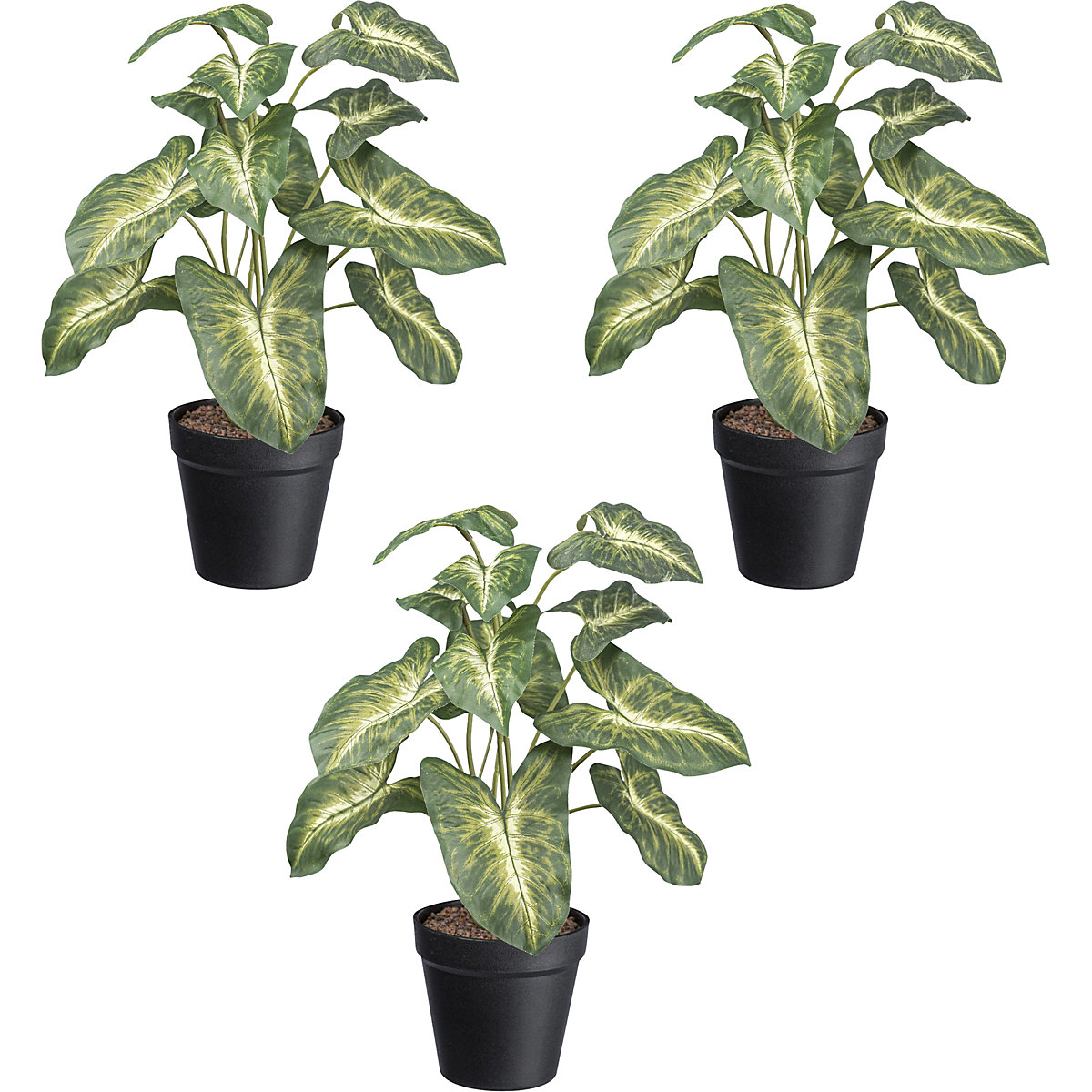 Kunstplant Syngonium Pixie