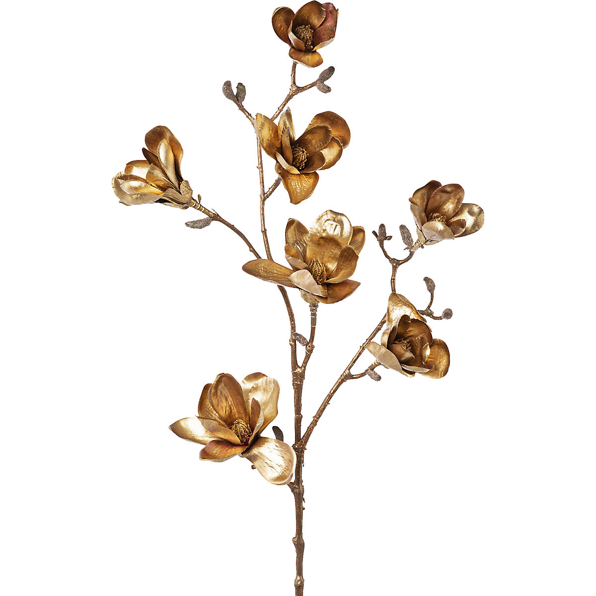 Magnolia, bruingoud (Productafbeelding 2)-1