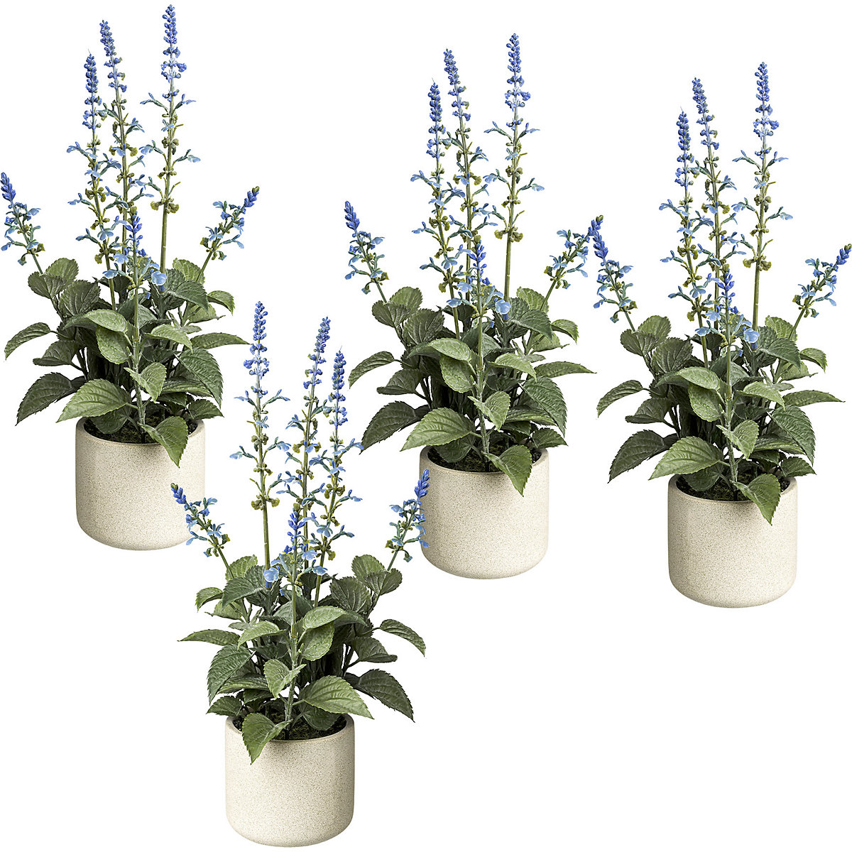 Salvia in een cementen pot, VE = 4 stuks, hoogte 450 mm, bloemen blauw-3