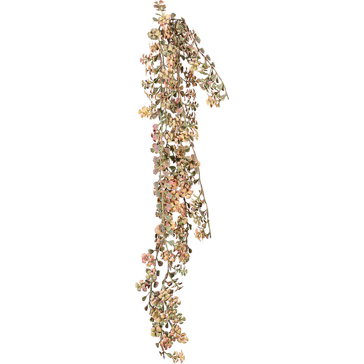 Trifolium hangplant (Productafbeelding 2)-1