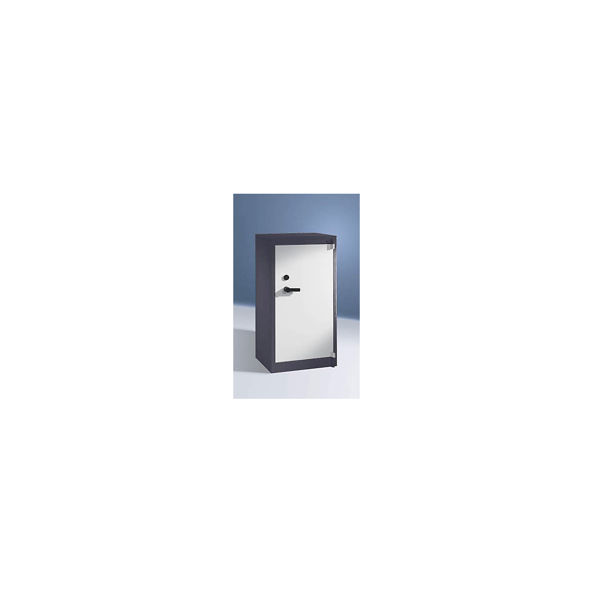 Stalen kast, brandvertragend – C+P (Productafbeelding 2)-1