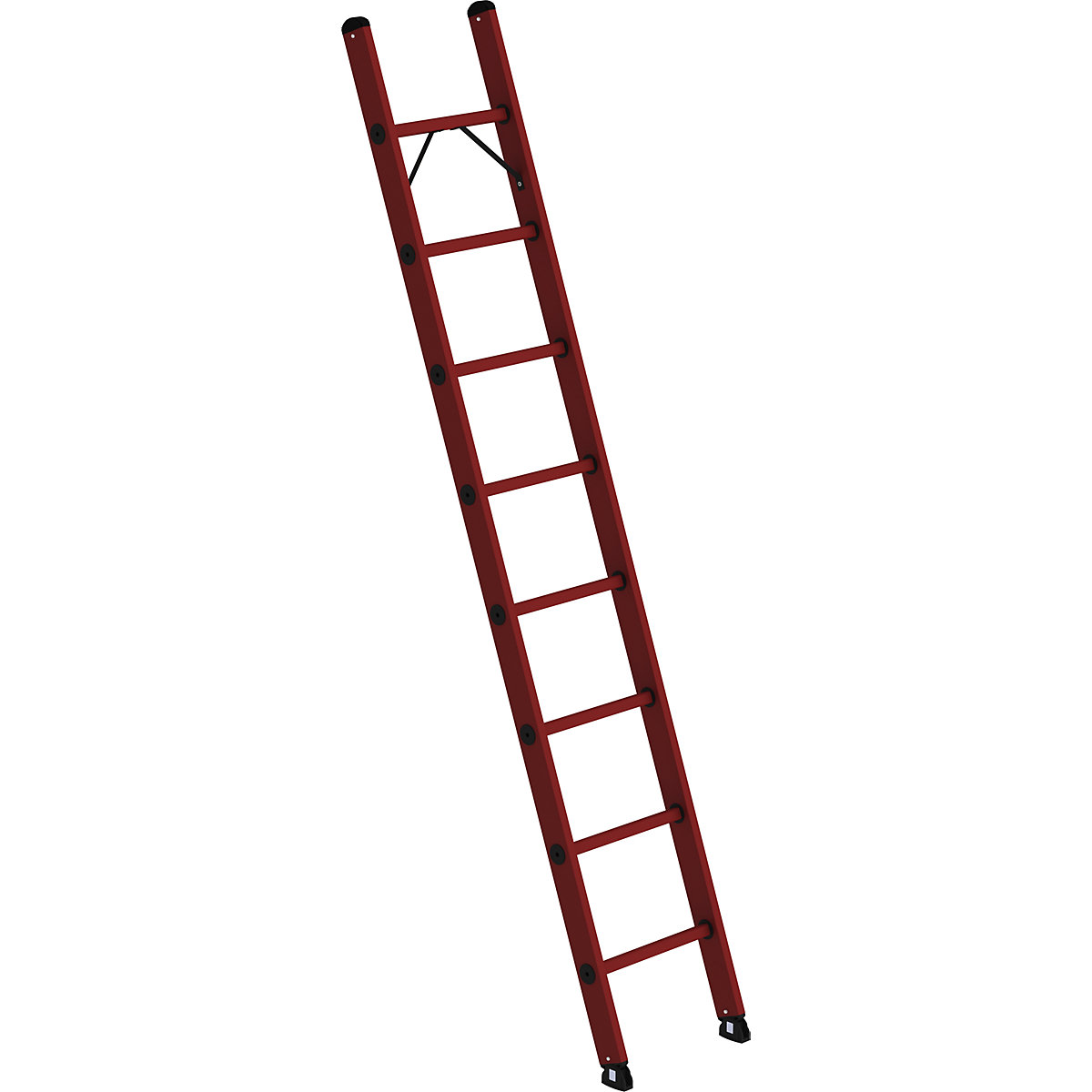 Full plastic lean to ladder – MUNK, made entirely of GRP, 8 rungs-1