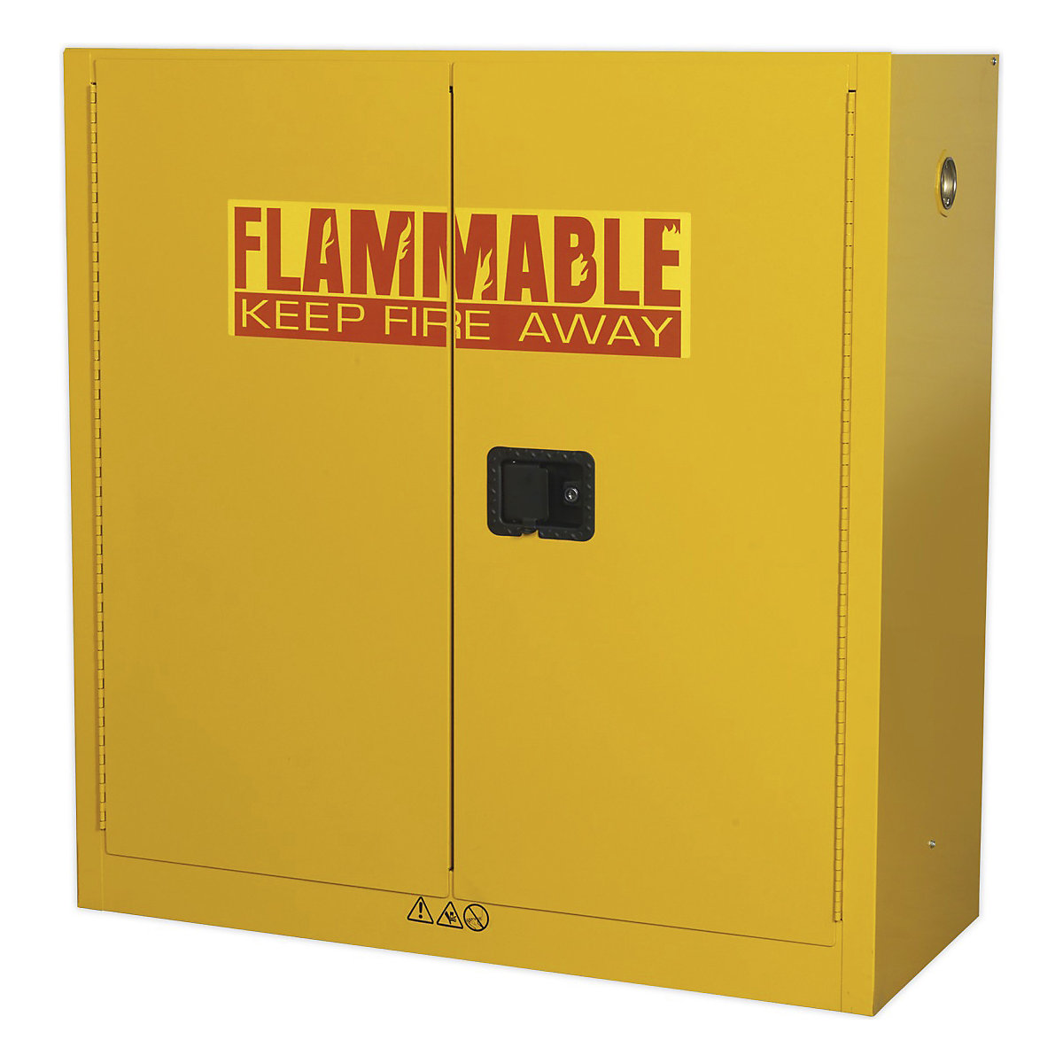 BiGDUG Flammable COSHH Storage Cabinets | Fire Rated: FM6050 10 Minutes