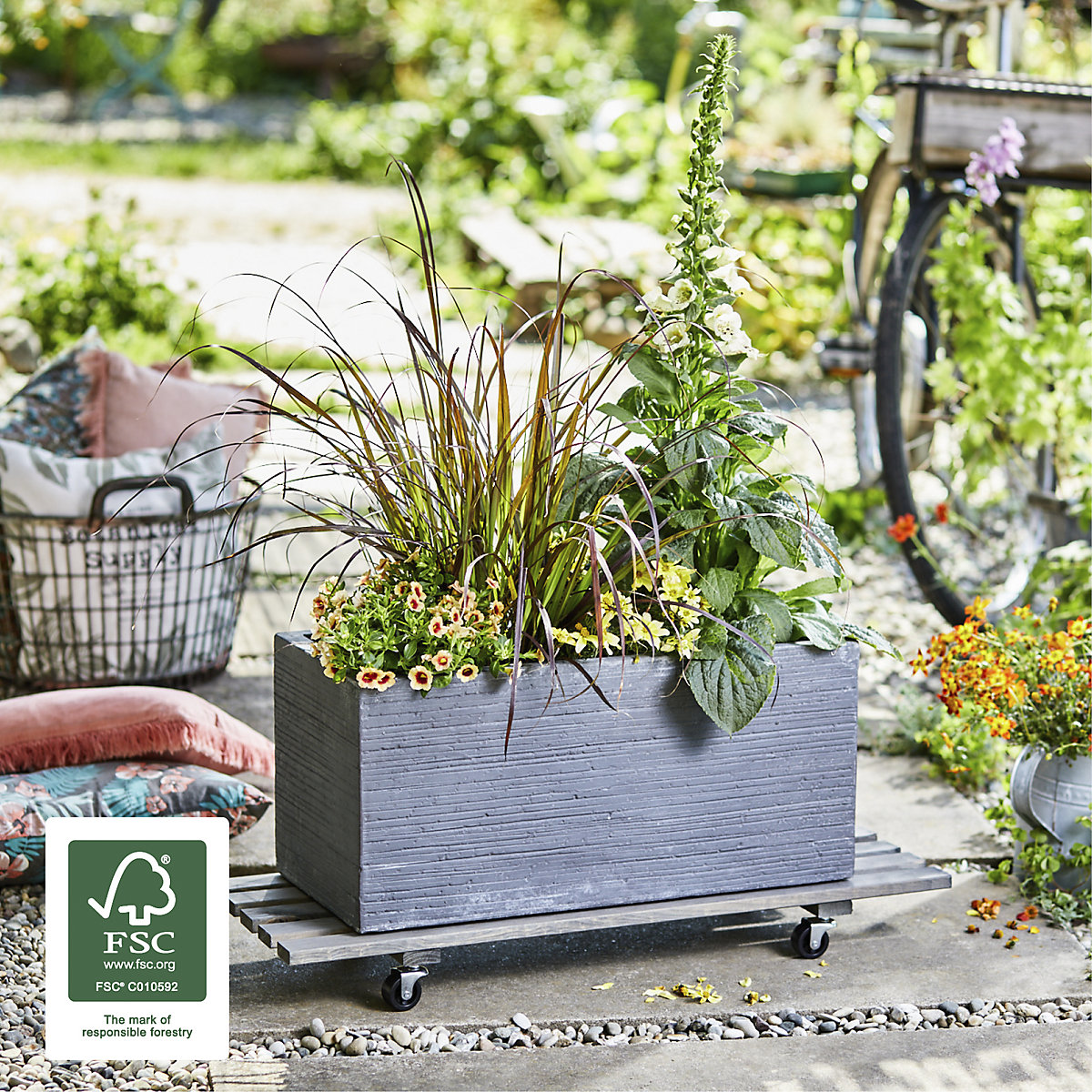 Plateau roulant pour plantes DOUBLE – Wagner (Illustration du produit 3)-2