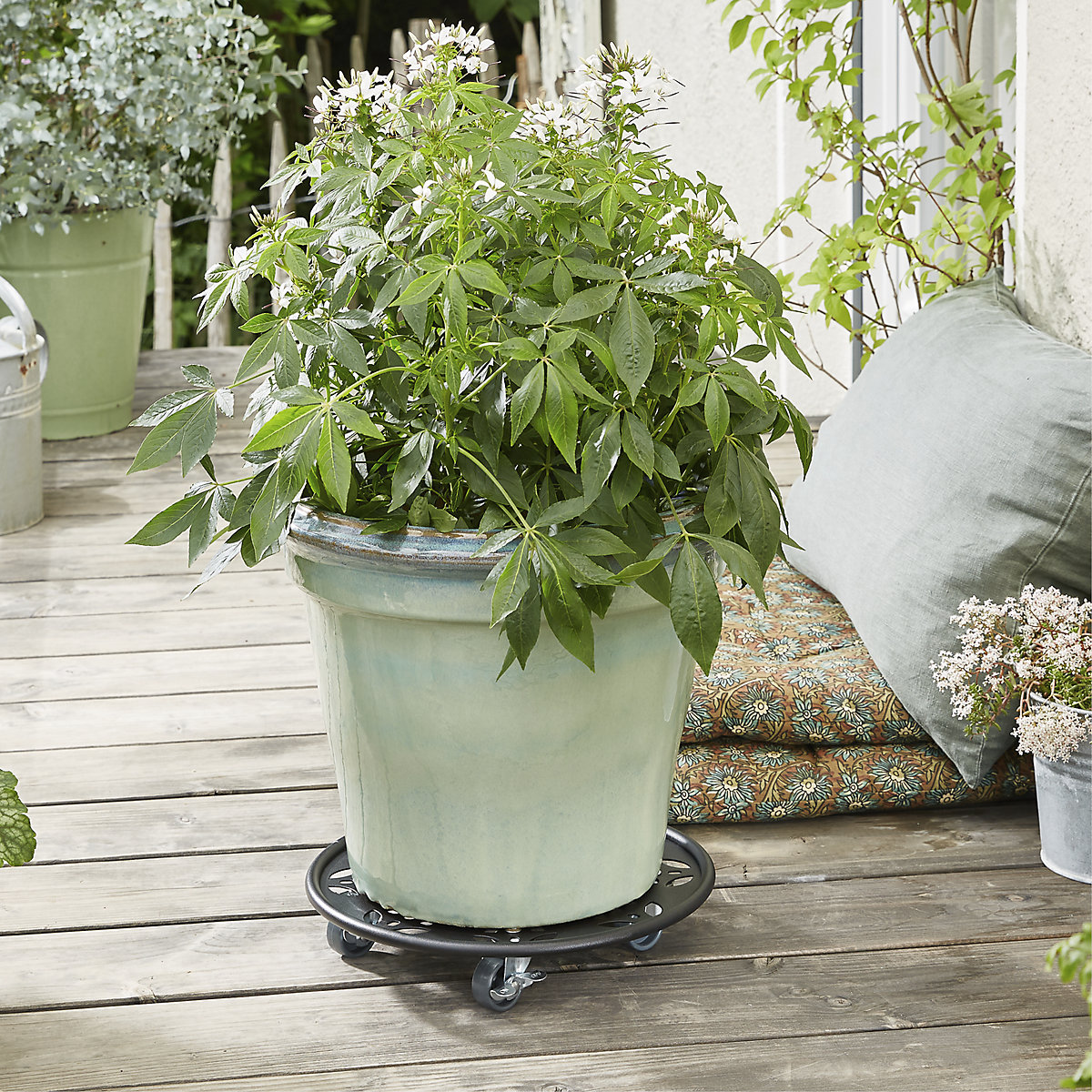 Plateau roulant pour plantes en acier BLACK – Wagner (Illustration du produit 3)-2