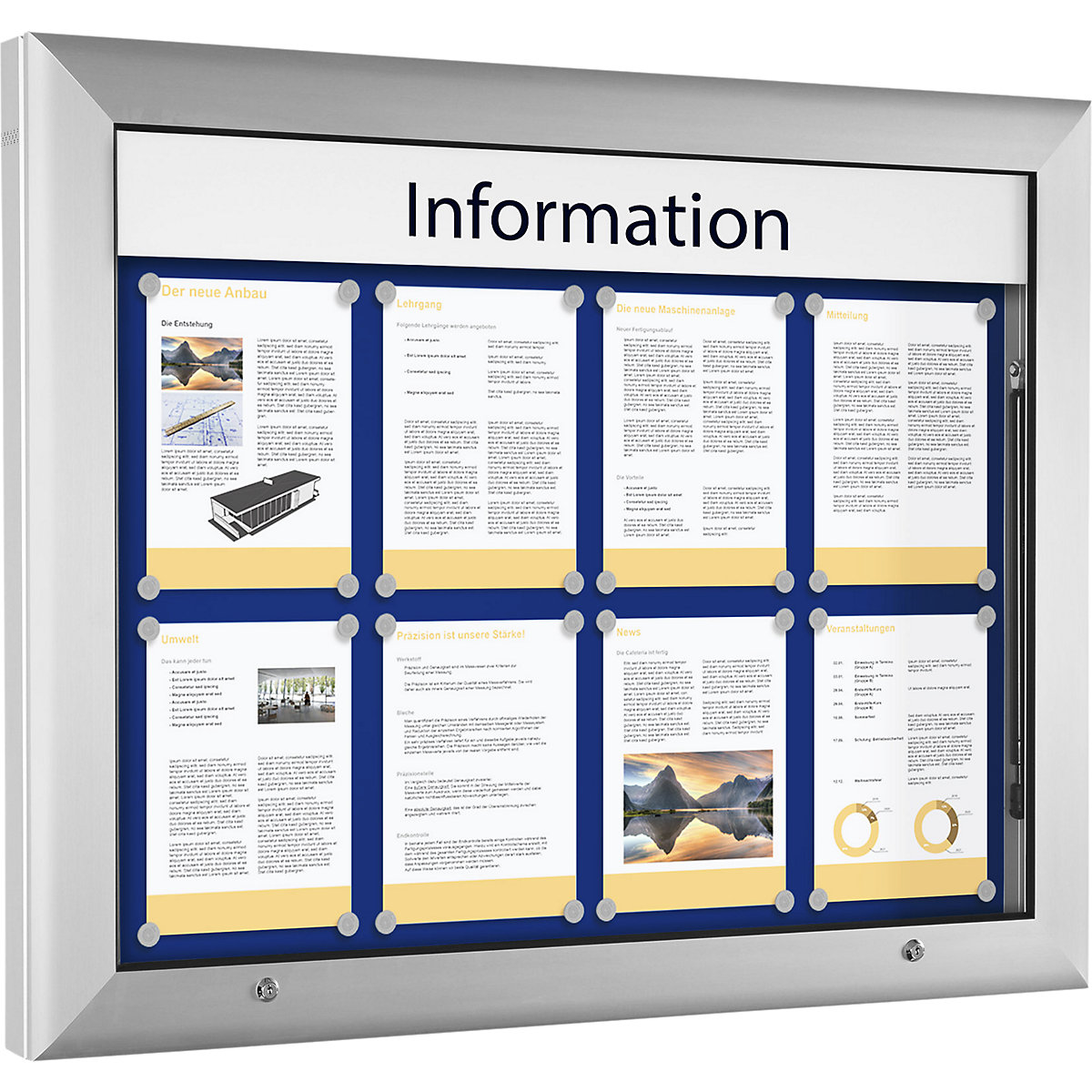 Vitrine d'affichage