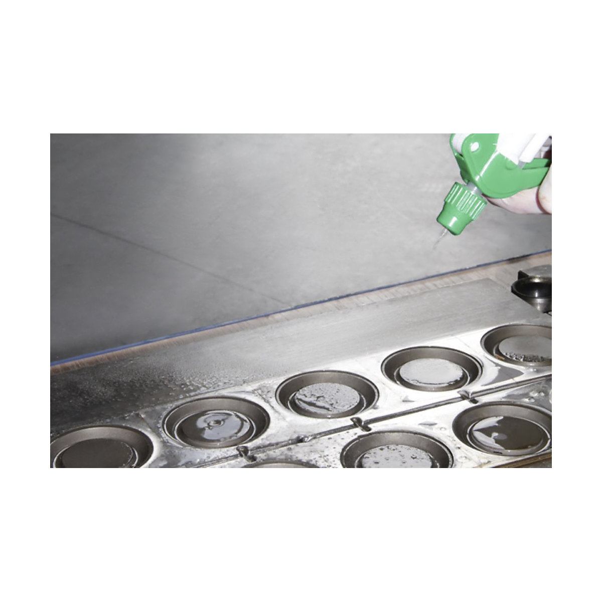 Limpiador Master Mould RL – Bio-Circle (Imagen del producto 4)-3