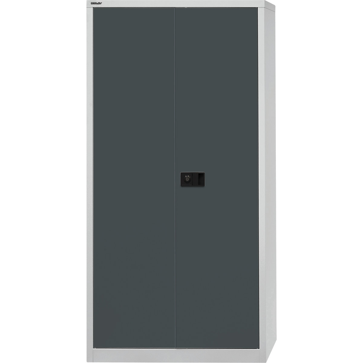 Dulap cu uși cu canaturi UNIVERSAL – BISLEY (Imagine produs 2)-1