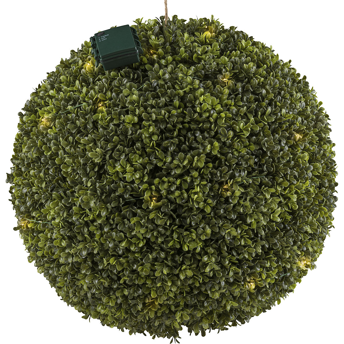 Boxwood ball