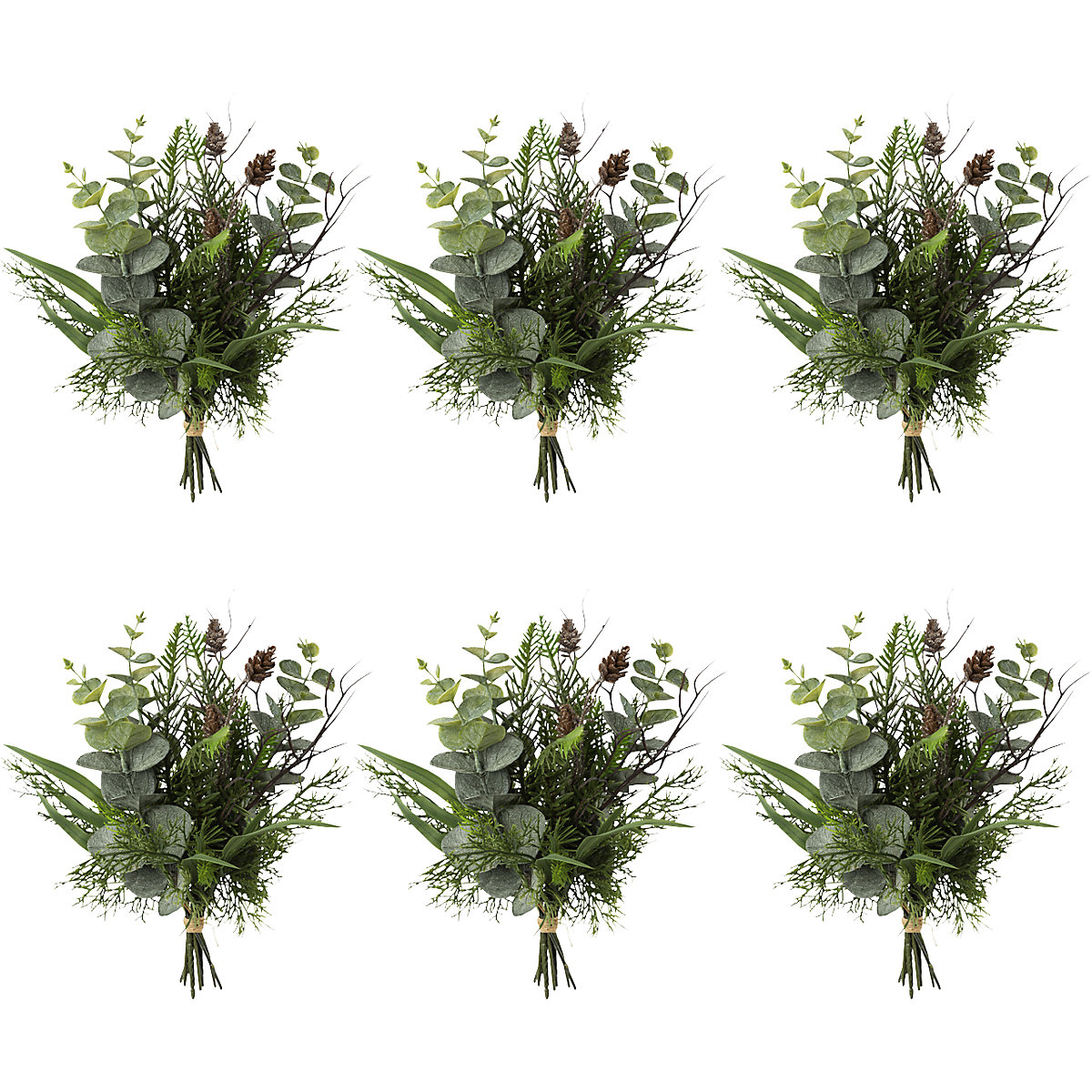 Eucalyptus and fir bunch with cones