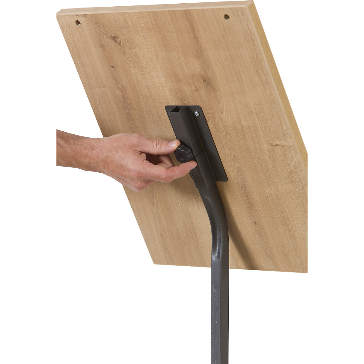 NATURAL information stand (Product illustration 8)-7