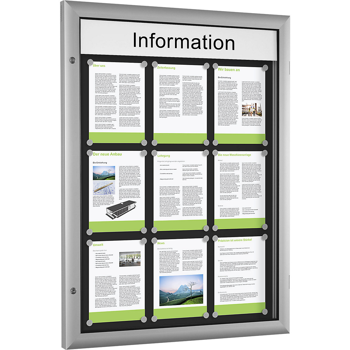 Low profile display case