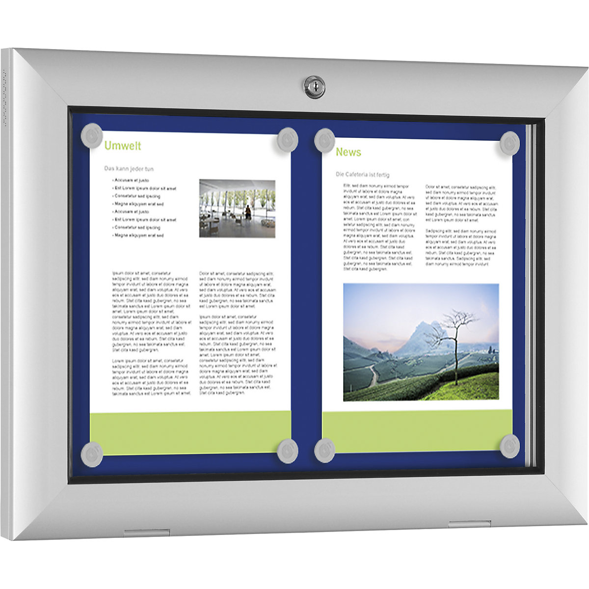 Low profile display case