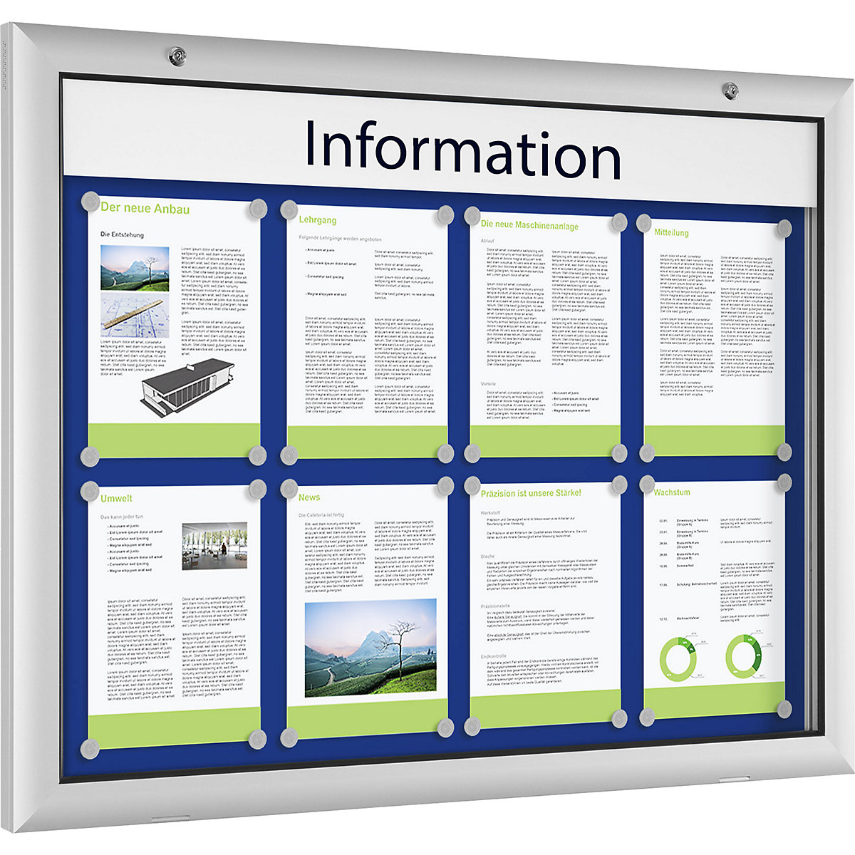 Low profile display case