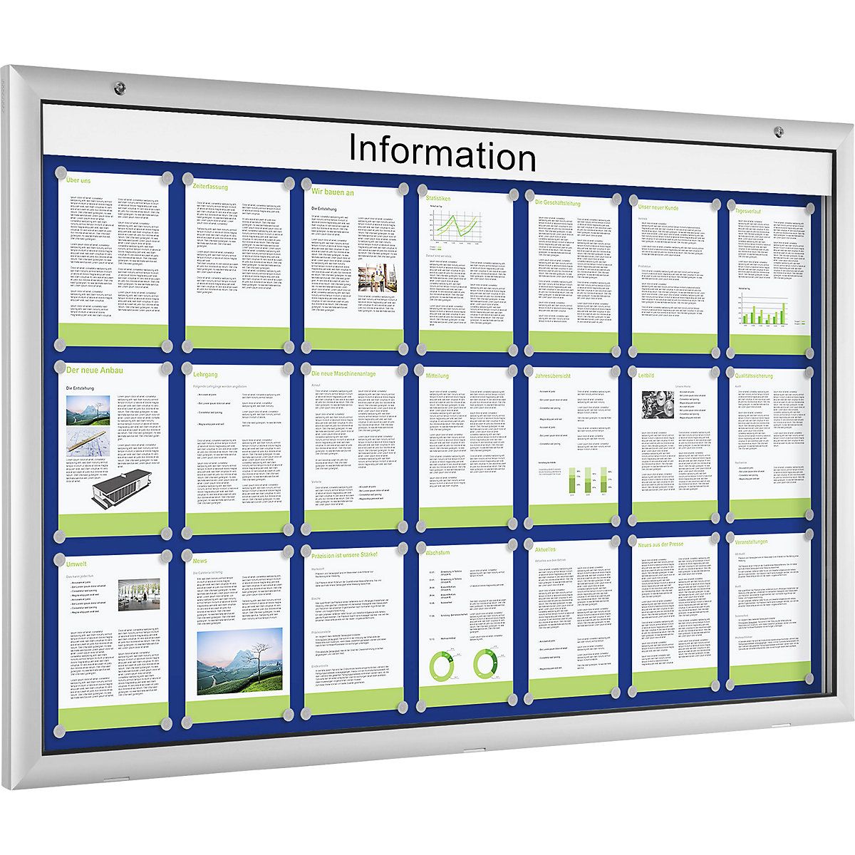 Low profile display case