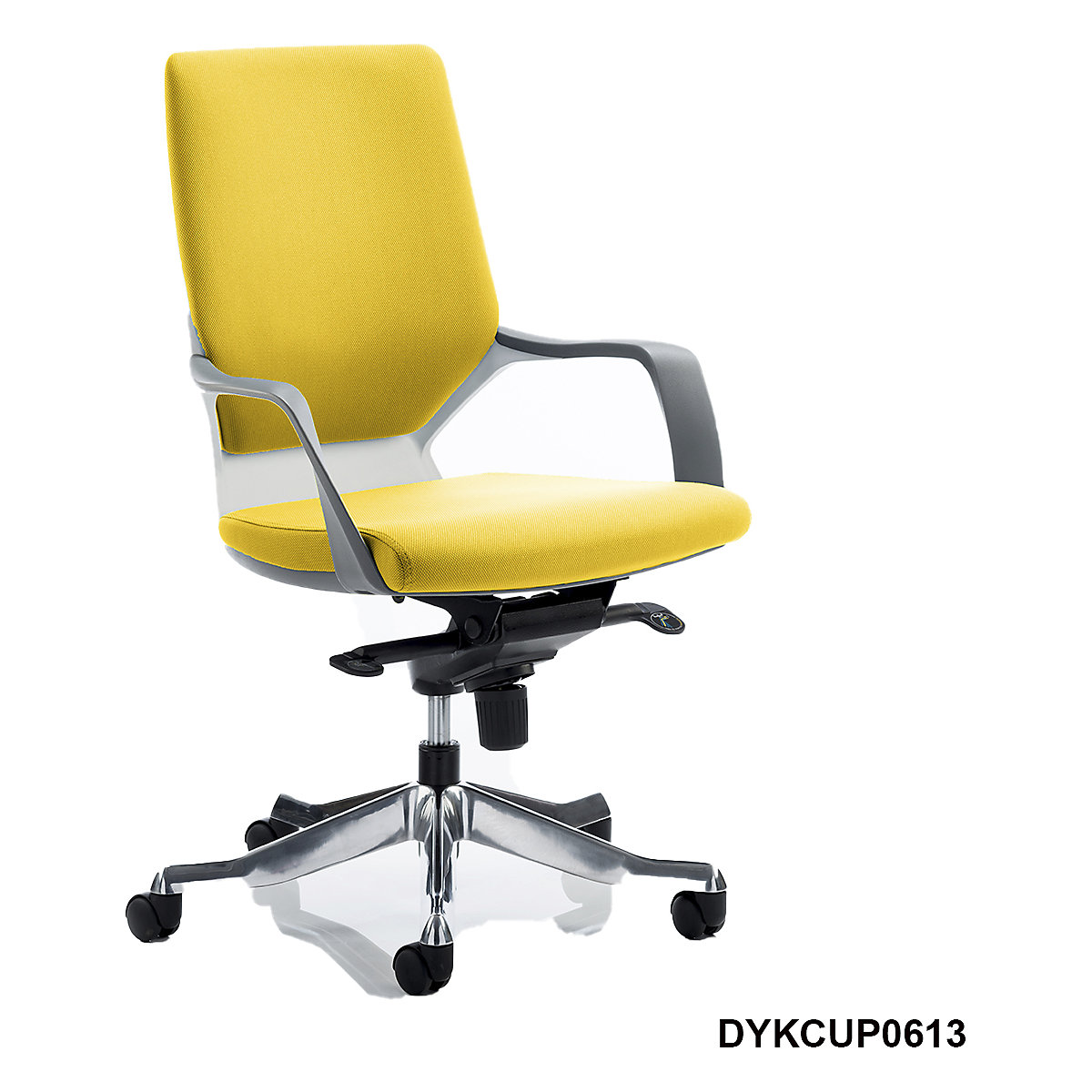 Xenon Executive Office Chair (Product illustration 14)-13