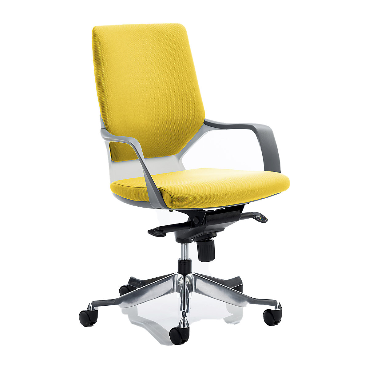 Xenon Executive Office Chair