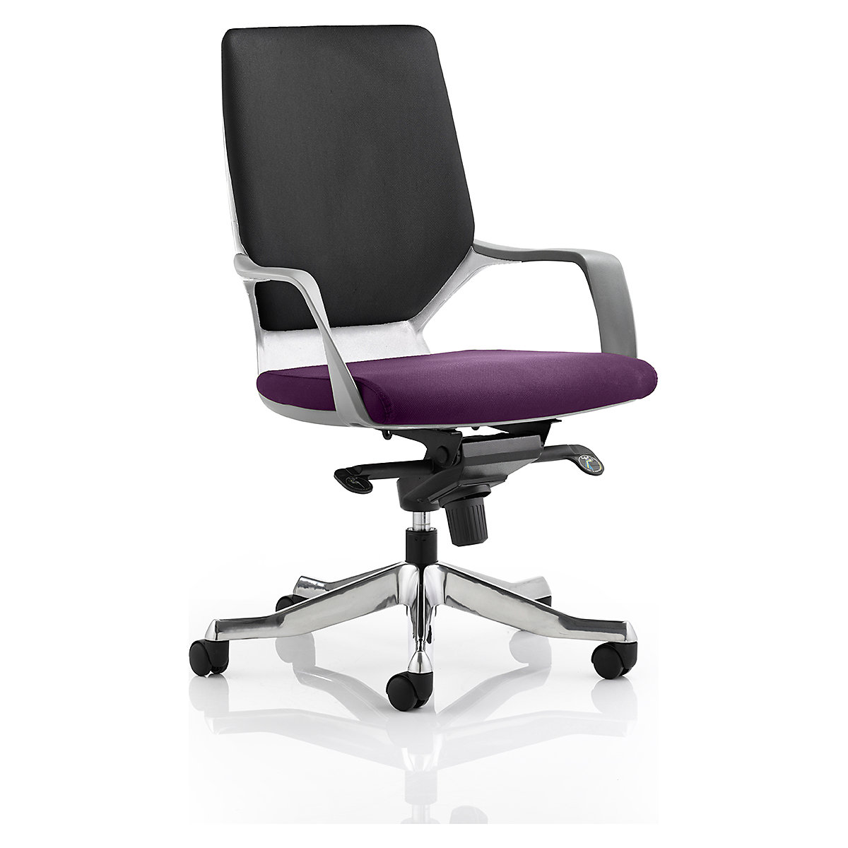 Xenon Executive Office Chair