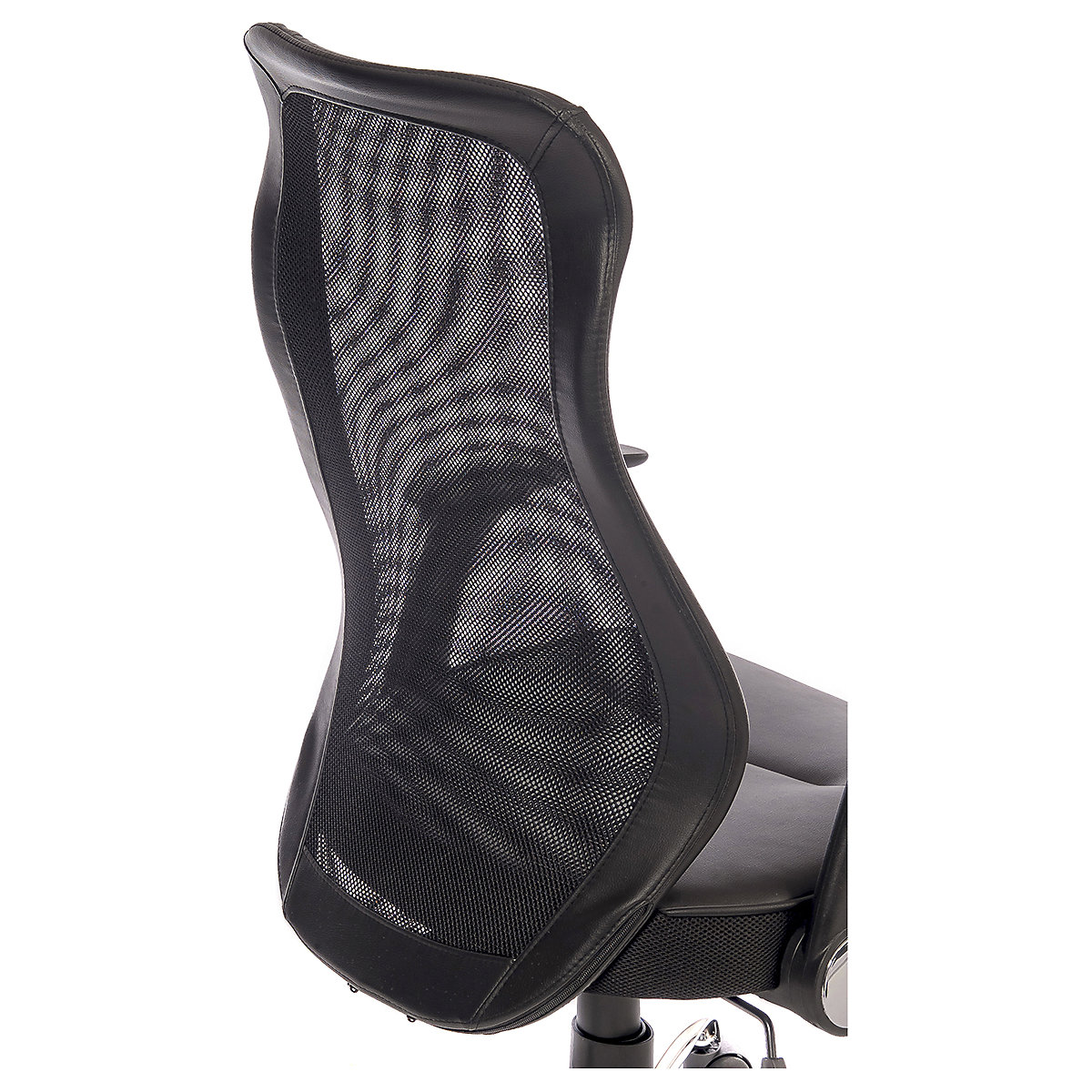 Curve Mesh Executive Office Chair (Product illustration 7)-6