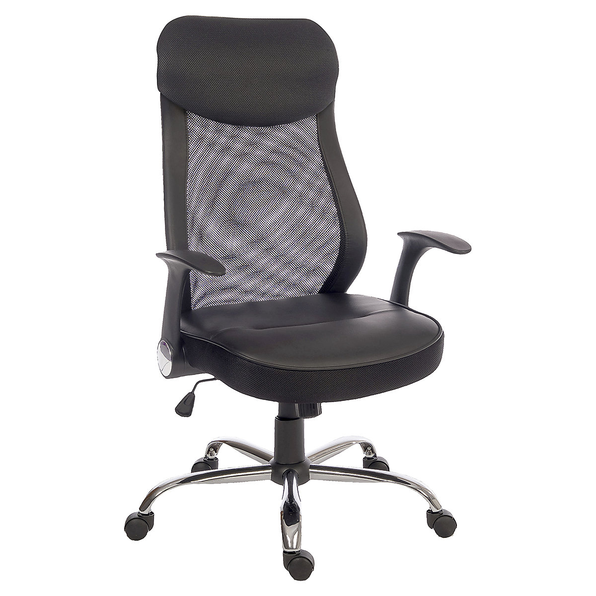 Curve Mesh Executive Office Chair