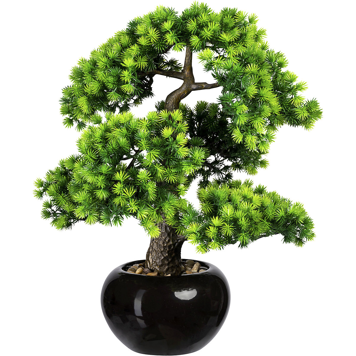 Bonsai larch, with gravel, in a ceramic pot, black, height 480 mm, pot 180 x 110 mm-3
