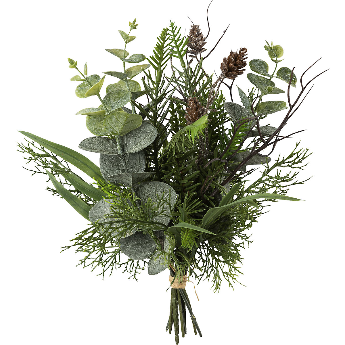 Eucalyptus and fir bunch with cones (Product illustration 2)-1