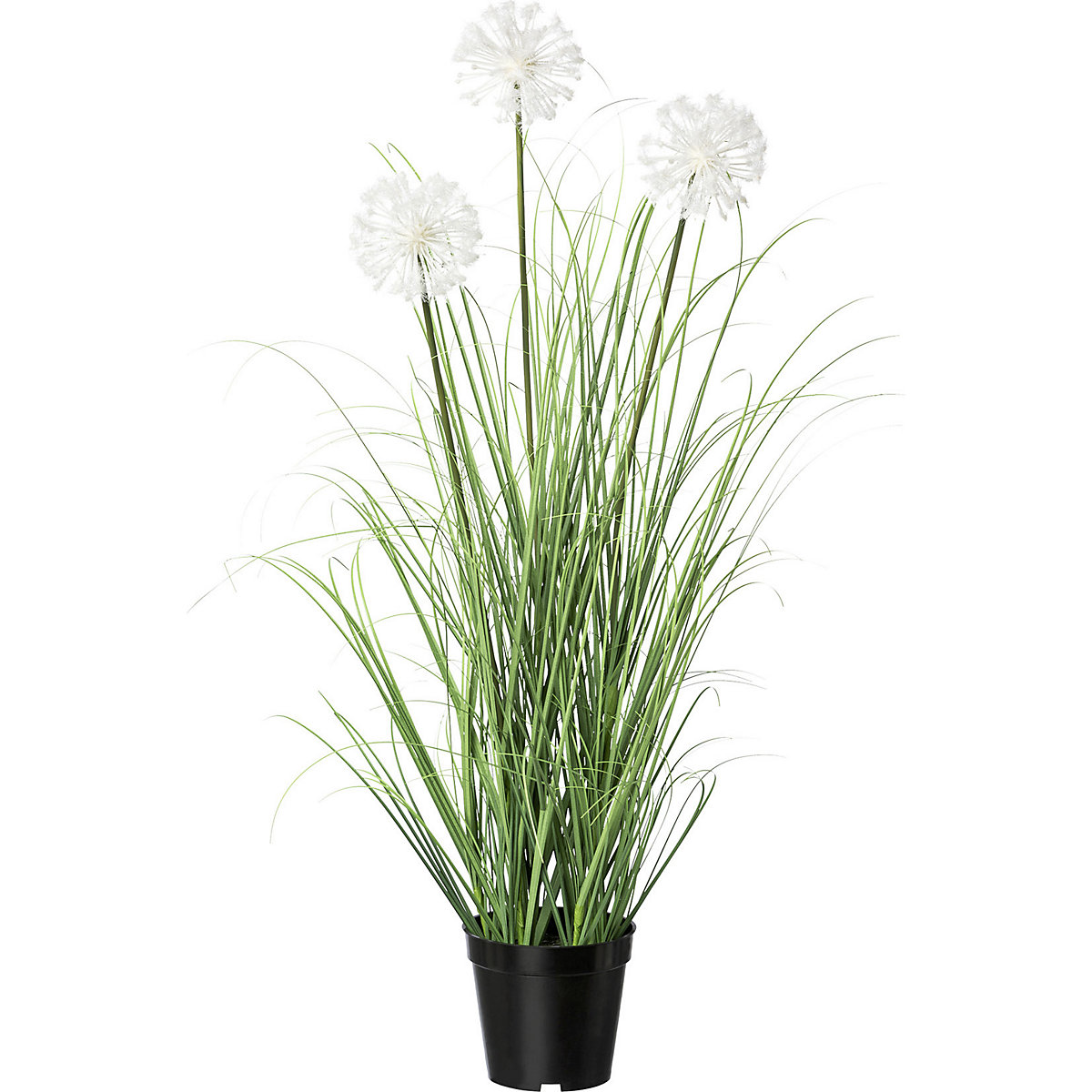 Grass bush with dandelions (Product illustration 2)-1