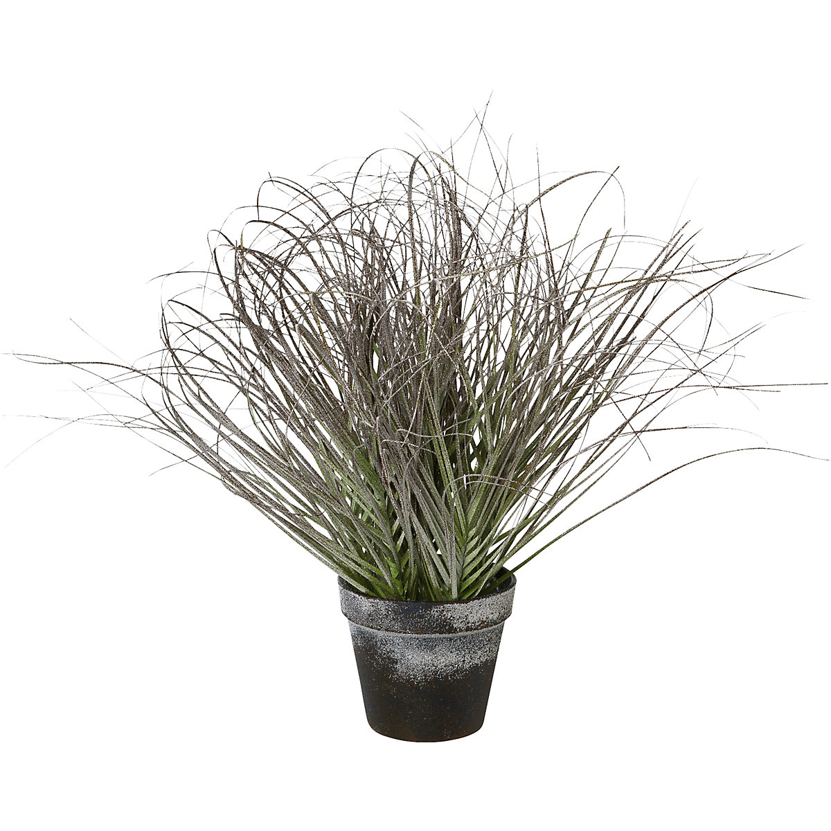 Grass in pot, frosted (Product illustration 2)-1