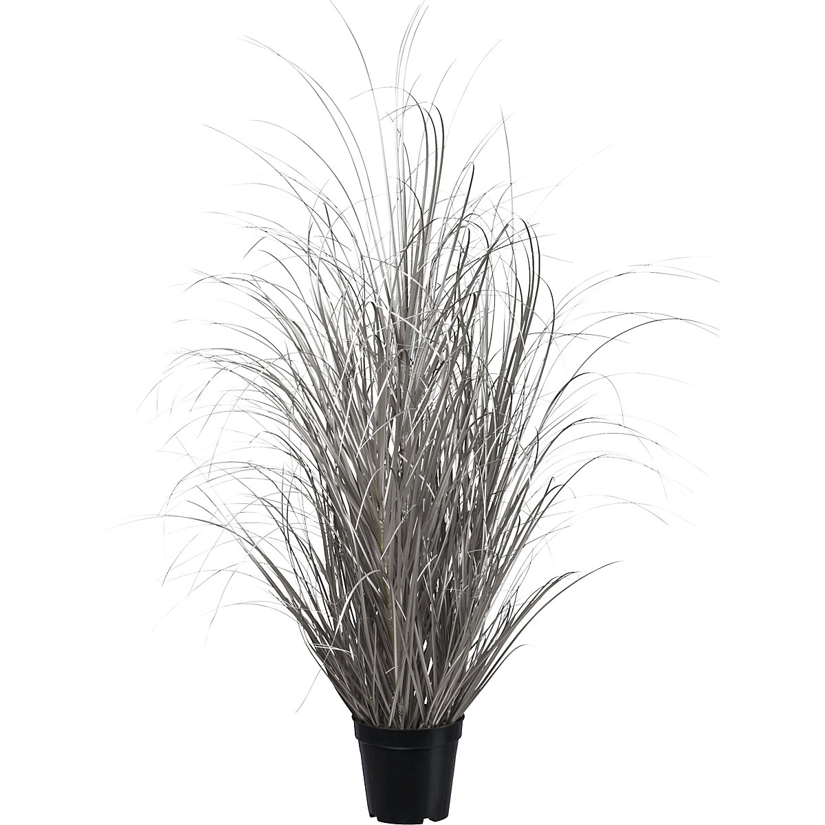 Grass in pot, overall height 930 mm, champagne-1