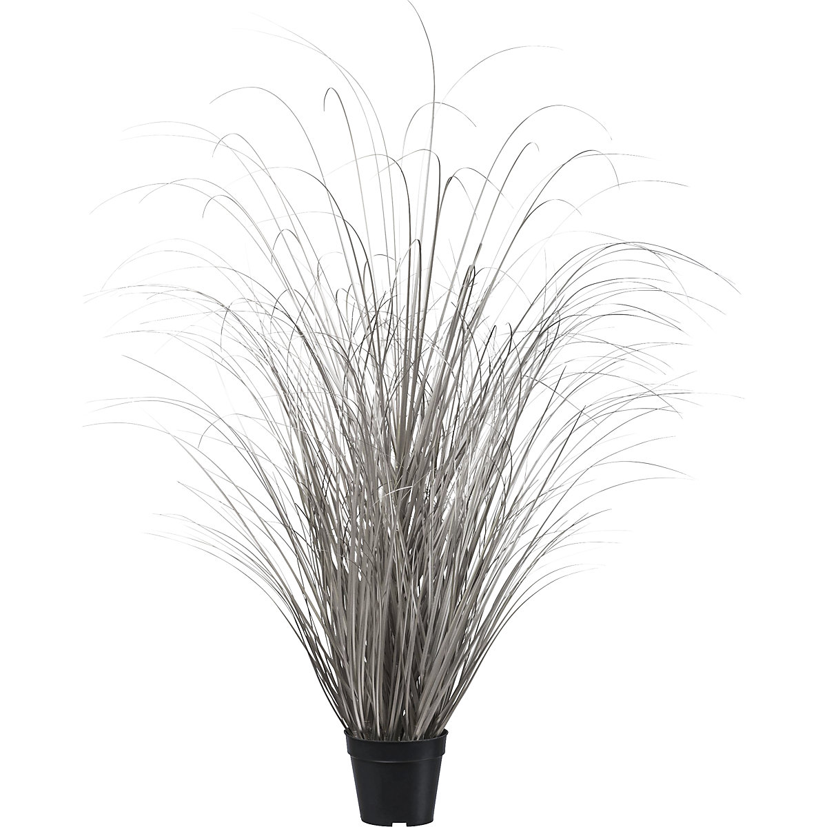 Grass in pot, overall height 1200 mm, champagne-1