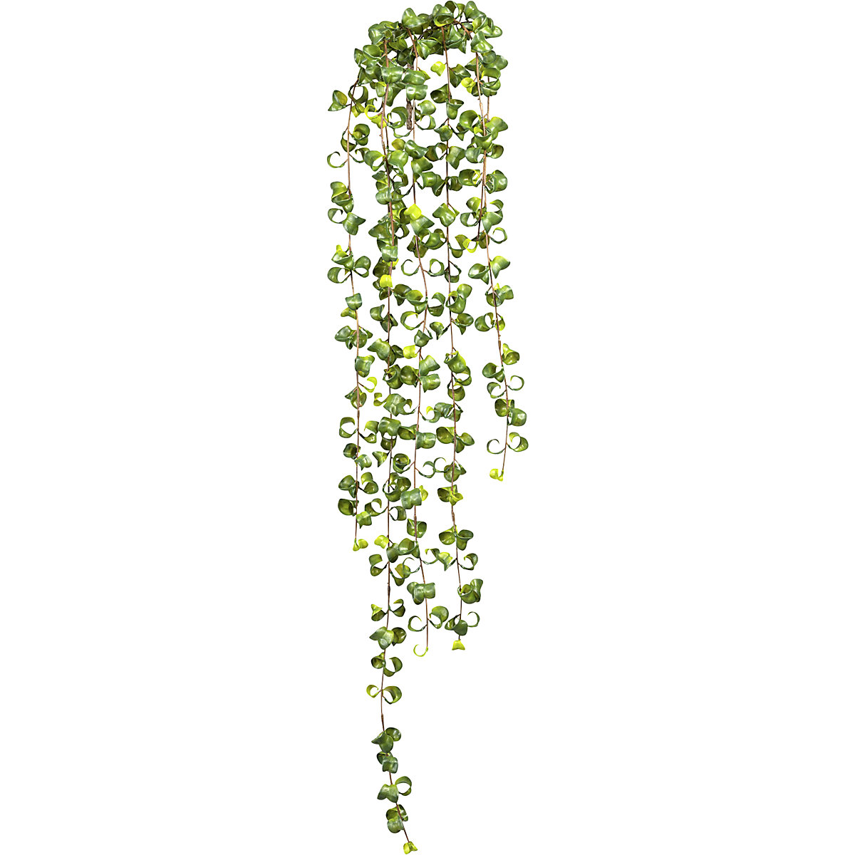 Hanging Ficus Baroque leaves (Product illustration 2)-1