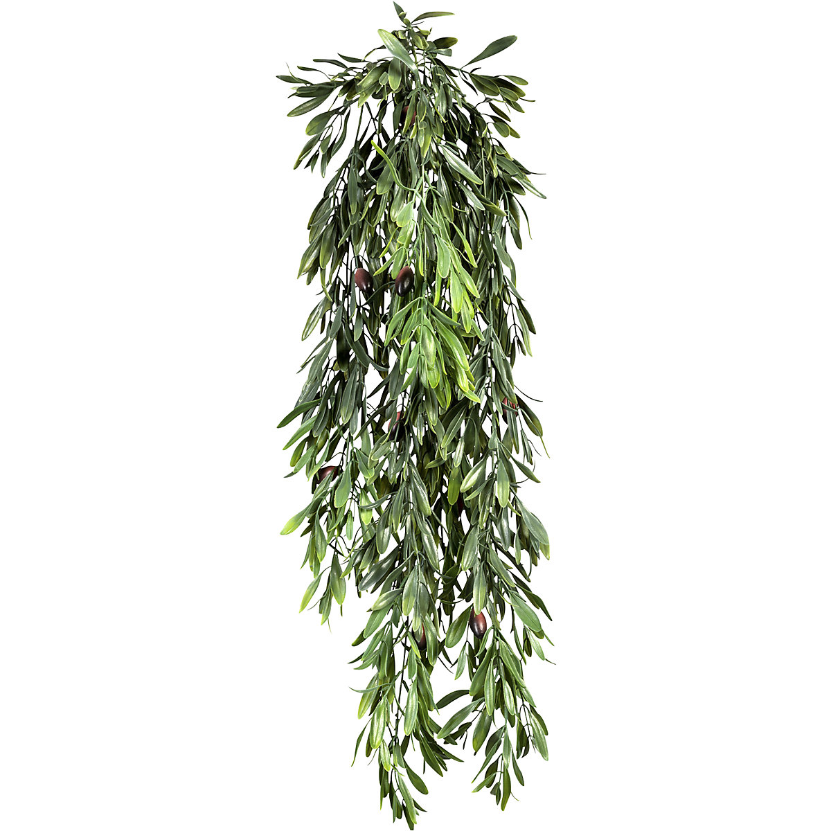 Hanging olive leaves (Product illustration 2)-1