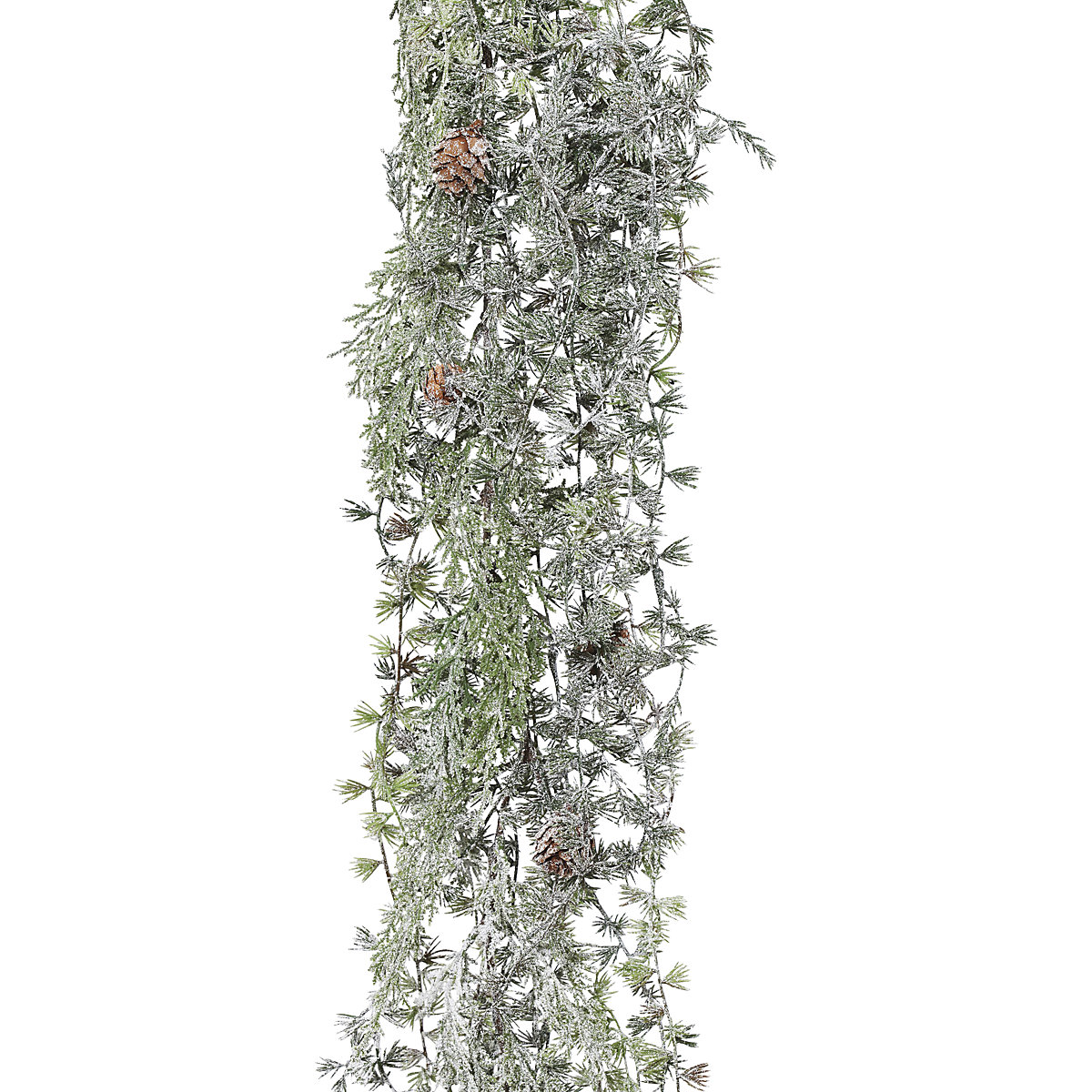 Larch vine, frosted (Product illustration 2)-1