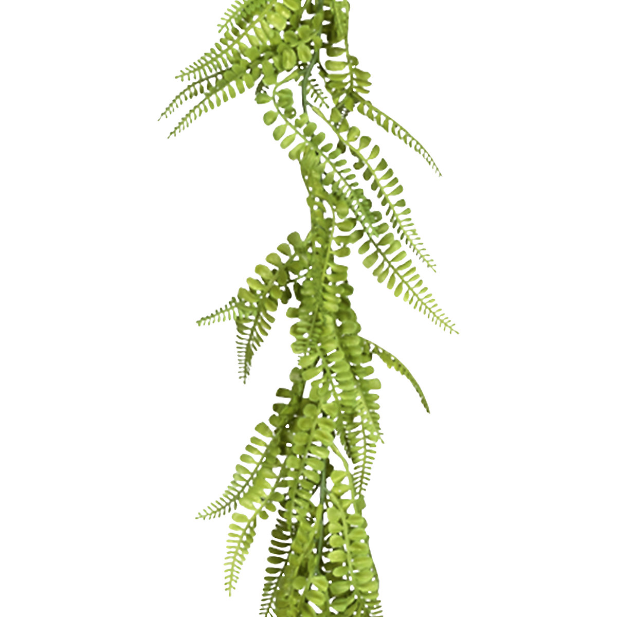 Maidenhair fern garland (Product illustration 2)-1