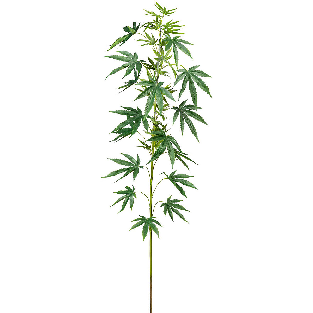 Ornamental hemp branch (Product illustration 2)-1