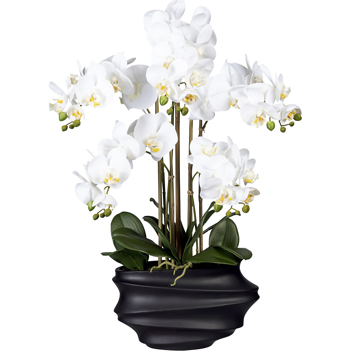 Phalaenopsis, real touch, height 750 mm, white, black plastic vase-2