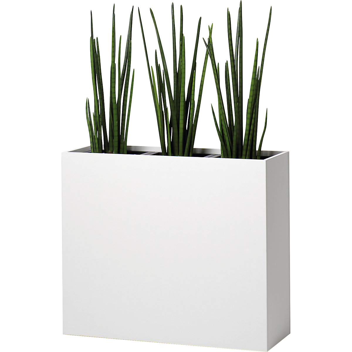 Plant pot (Product illustration 2)-1