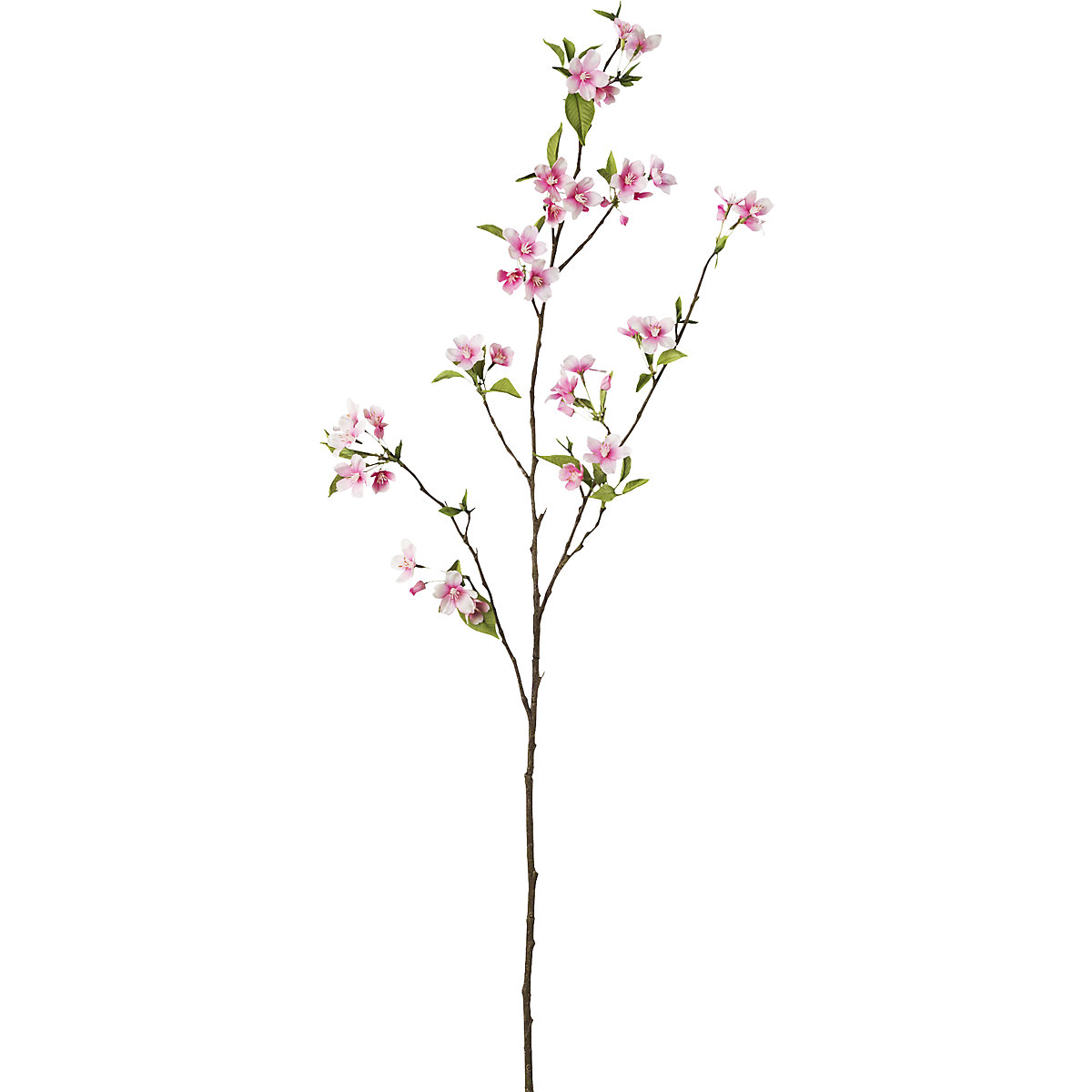 Plastic pear tree branches (Product illustration 2)-1